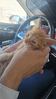 Negocio Pet And Health Clinica Veterinaria Barajas