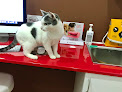 Negocio Pet Médica Veterinaria