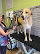 Arganda Del Rey 5 Negocio Rebeca Cuevas - Peluquería De Mascotas Y Consulta Veterinaria