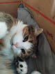 Negocio Veterinaria Sunka