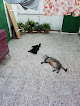 Negocio Veterinarios Madrid