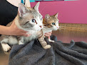 Negocio Vetsana. Clínica Veterinaria Natural