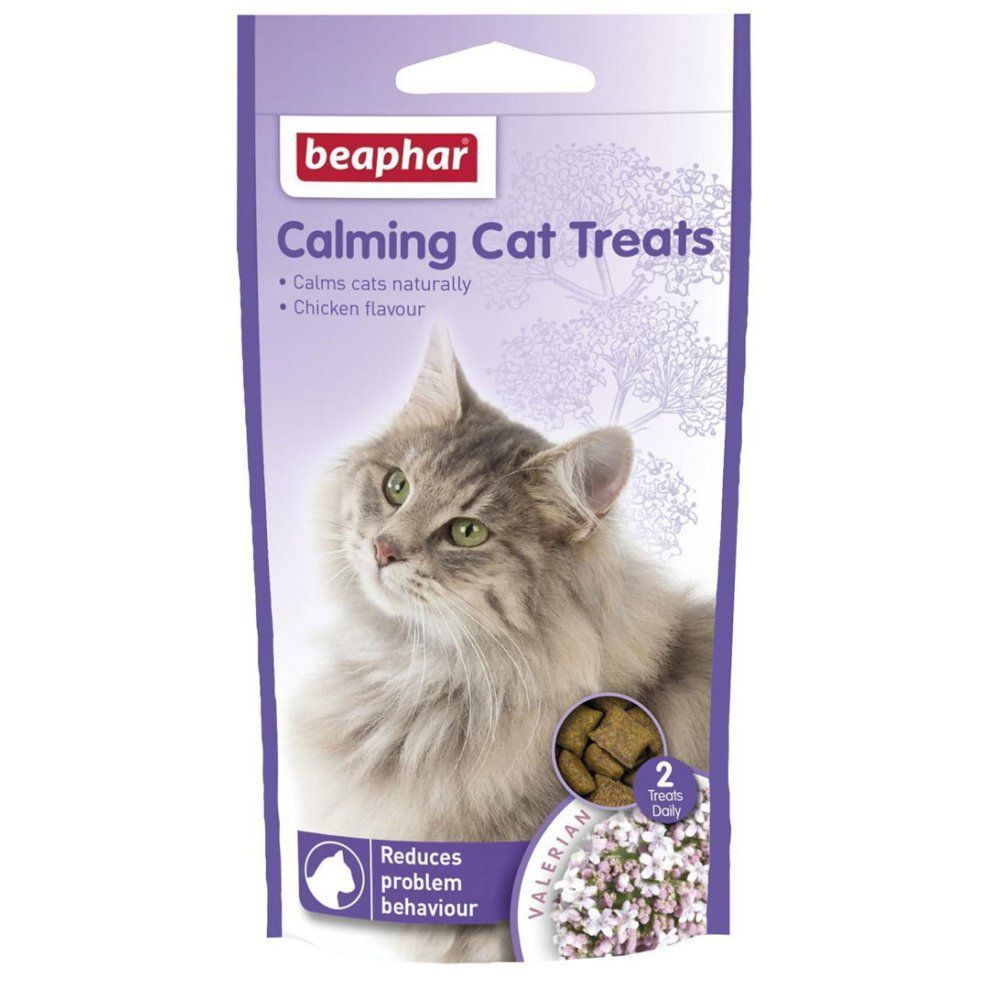 Alimentos Naturales para Gatos que Promueven la Calma y el Bienestar