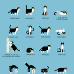 Beneficios de Enseñar a Tu Gato a Responder a Señales Visuales 5 beneficios de ensenar a tu gato a responder a senales visuales