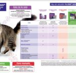 Cómo Ayudar a Gatos que Se Esconden por Estrés 6 como ayudar a gatos que se esconden por estres