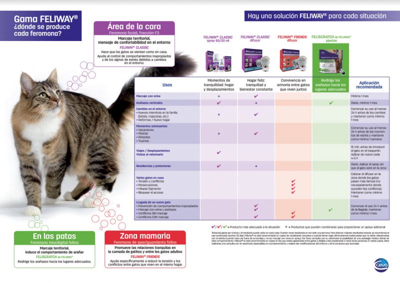 como ayudar a gatos que se esconden por estres