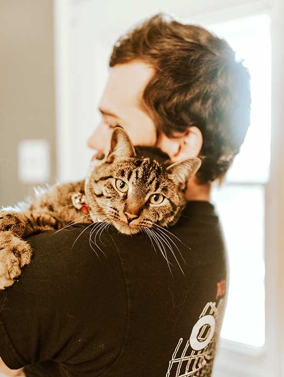 Gato 2 como ayudar a tu gato a enfrentar el estres por separacion