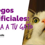 Cómo Calmar a Tu Gato Durante Fuegos Artificiales o Tormentas 2 como calmar a tu gato durante fuegos artificiales o tormentas