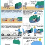 como calmar a tu gato durante visitas al veterinario