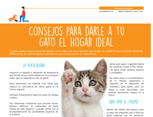 Gato 4 como crear un hogar mas sociable para tu gato