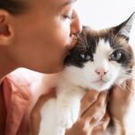 como el entrenamiento positivo mejora la comunicacion entre tu y tu gato