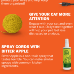 como ensenar a tu gato a evitar manipular cables electricos 1