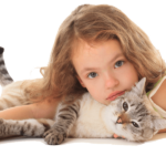como ensenar a tu gato a interactuar suavemente con ninos 1