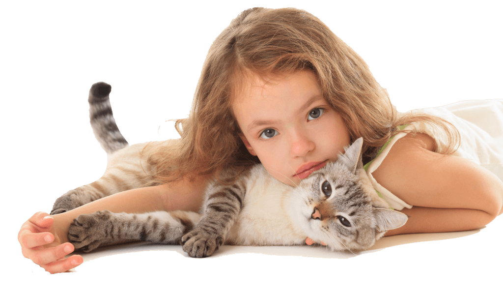 como ensenar a tu gato a interactuar suavemente con ninos 1