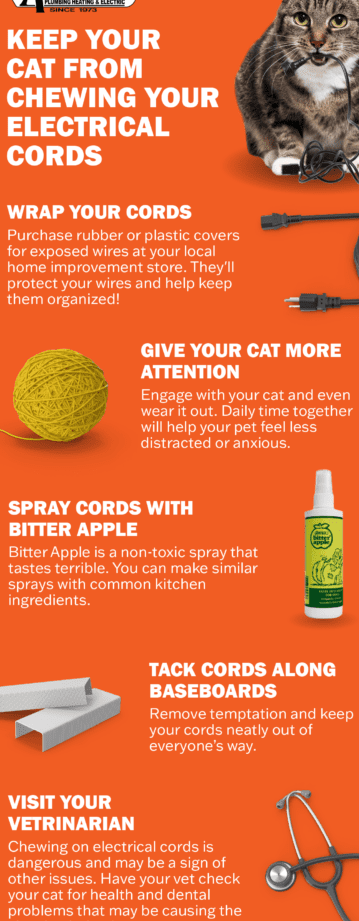 como ensenar a tu gato a mantenerse alejado de cables electricos 1