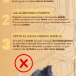 Cómo Enseñar a Tu Gato a No Morder Durante el Juego 3 como ensenar a tu gato a no morder durante el juego