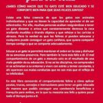 Cómo enseñar a tu gato a respetar tus cosas personales 2 como ensenar a tu gato a respetar tus cosas personales 1