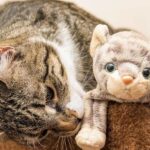 como entrenar a tu gato para aceptar juguetes que hacen ruido 1
