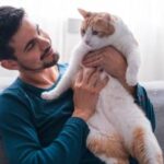 como entrenar a tu gato para convivir en casas con alarmas ruidosas 1