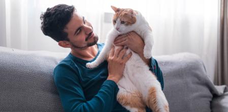 como entrenar a tu gato para convivir en casas con alarmas ruidosas 1