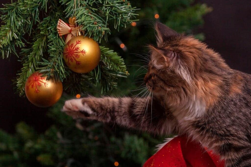 como entrenar a tu gato para que no juegue con decoraciones navidenas 1