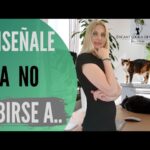 como entrenar a tu gato para que no suba a la mesa usando recompensas