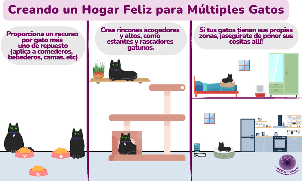 Cómo fomentar la cooperación entre gatos en hogares con múltiples rascadores 5 como fomentar la cooperacion entre gatos en hogares con multiples rascadores 1