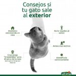 como mejorar la confianza de tu gato con personas mayores 1