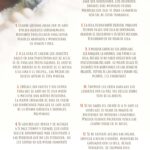 como mejorar la relacion de tu gato con animales timidos 1