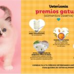 como motivar a tu gato durante el entrenamiento con snacks saludables