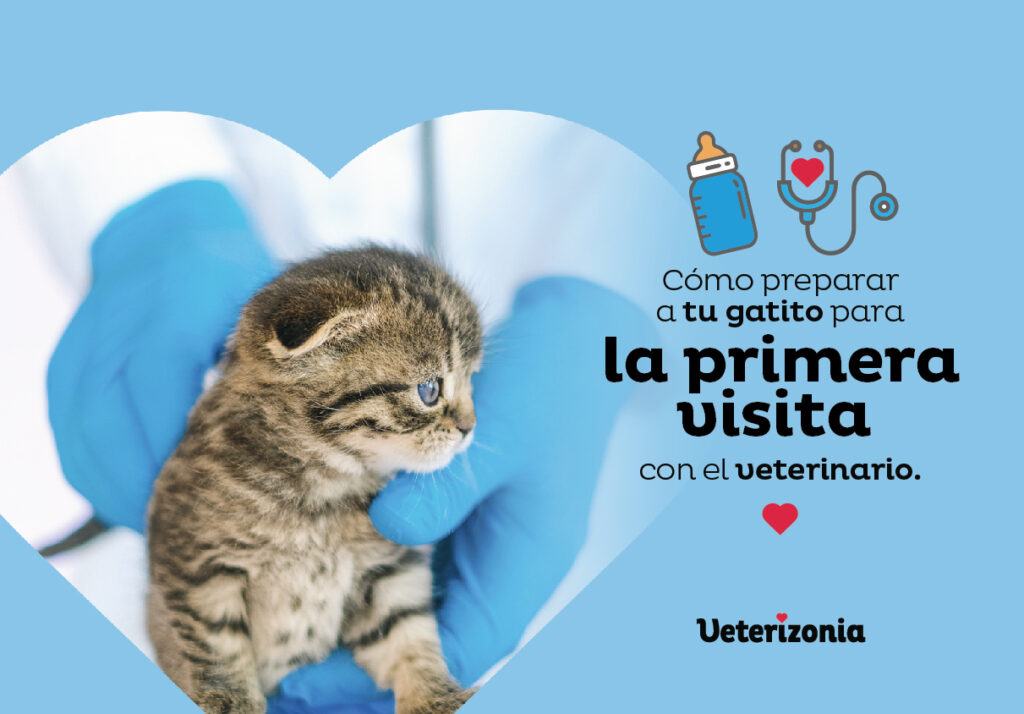 Cómo preparar a tu gato para visitas de niños pequeños 3 como preparar a tu gato para visitas de ninos pequenos 1