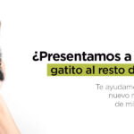 como presentar a tu gato a nuevos miembros de la familia