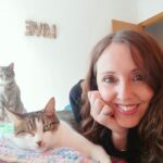 como prevenir celos entre gatos cuando traes uno nuevo 1