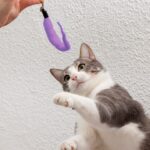 como prevenir comportamientos reactivos en gatos que comparten juguetes 1