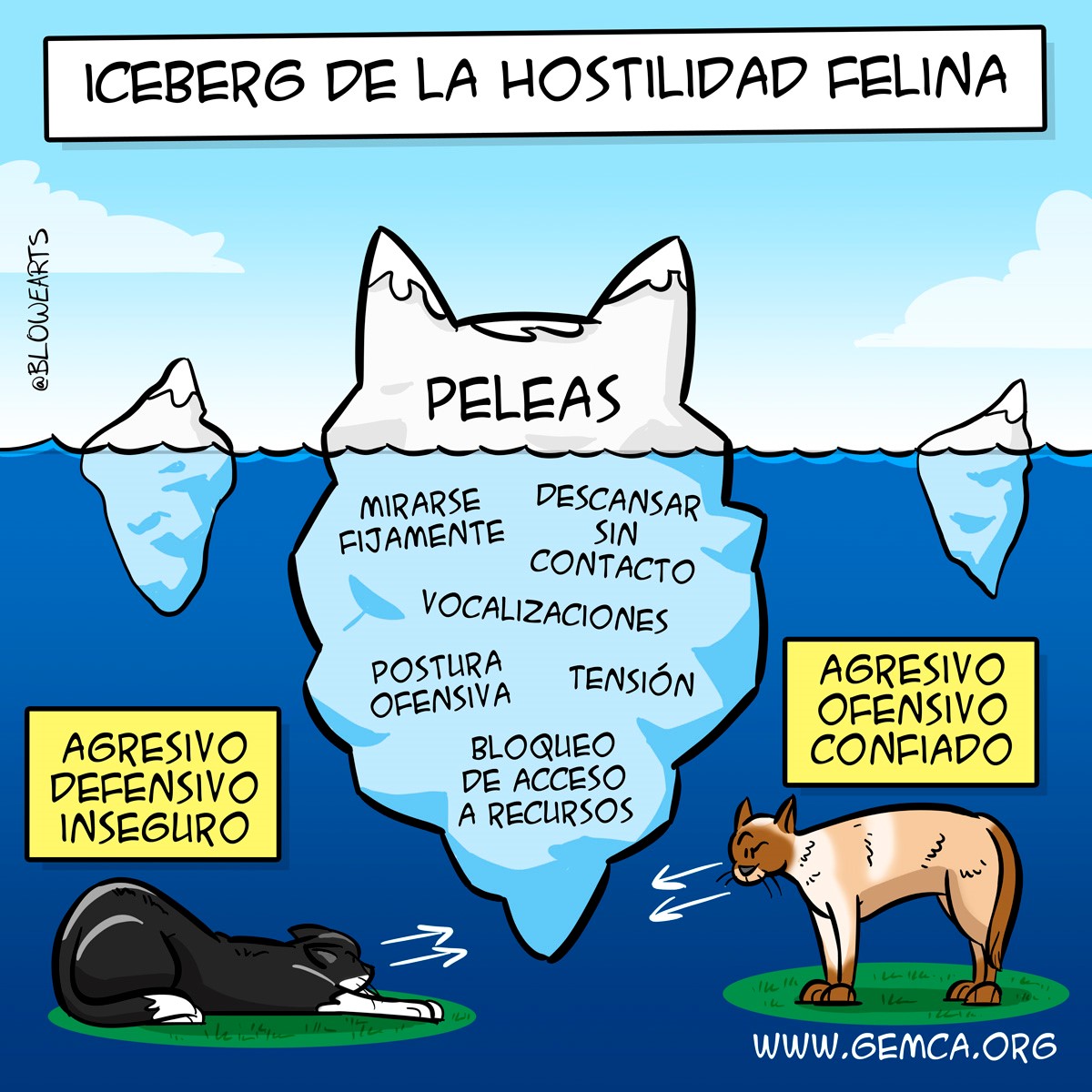 Cómo prevenir peleas por territorios entre gatos que comparten hogar