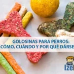 Cómo usar golosinas de manera efectiva en el adiestramiento 2 como usar golosinas de manera efectiva en el adiestramiento 1