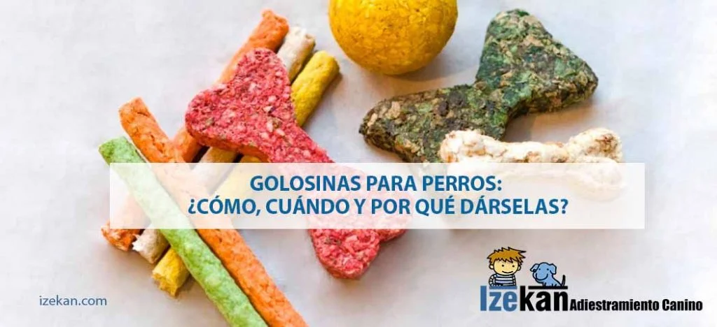 como usar golosinas de manera efectiva en el adiestramiento 1