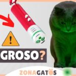 Cómo Usar Luces Láser para Enseñar a Tu Gato a Seguir Indicaciones 1 como usar luces laser para ensenar a tu gato a seguir indicaciones
