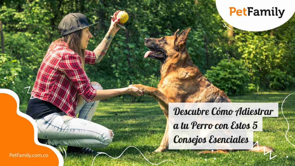 Descubre Cómo el Entrenamiento Positivo Previene Problemas de Conducta 18 descubre como el entrenamiento positivo previene problemas de conducta