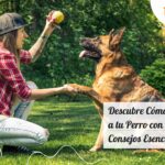 descubre como el entrenamiento positivo previene problemas de conducta