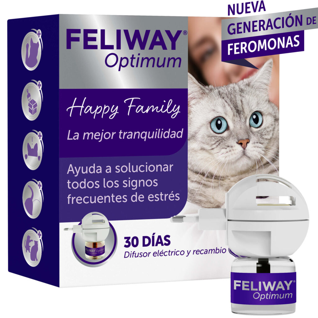 el papel de las feromonas en la relajacion de tu gato