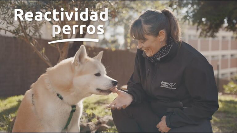 entrenamiento positivo para reducir el comportamiento territorial