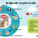 Errores Comunes que Pueden Aislar a Tu Gato del Entorno Familiar 5 errores comunes que pueden aislar a tu gato del entorno familiar