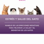 guia para reducir el estres en gatos con problemas de salud