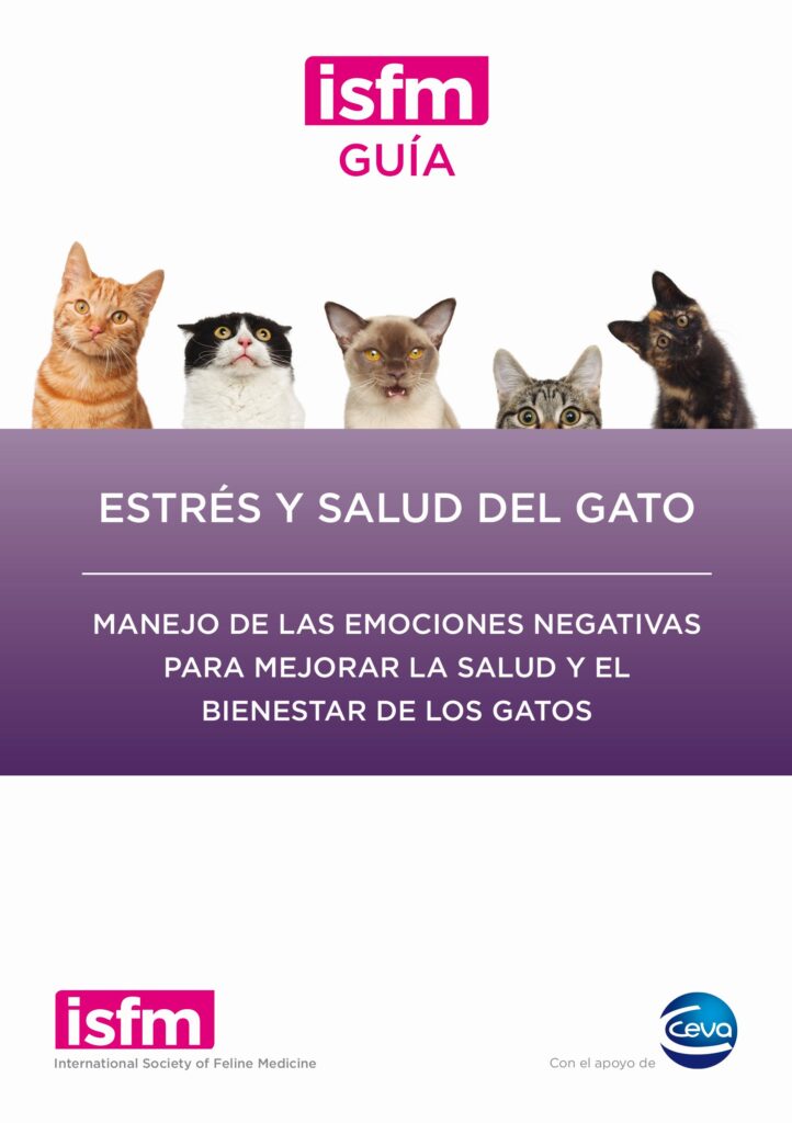 guia para reducir el estres en gatos con problemas de salud