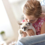 La Importancia de la Socialización en la Personalidad de Tu Gato 6 la importancia de la socializacion en la personalidad de tu gato