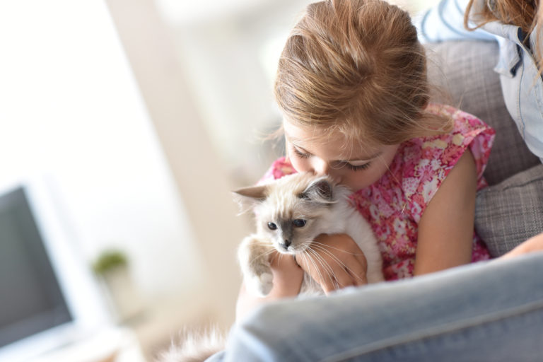 la importancia de la socializacion en la personalidad de tu gato
