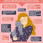 la importancia del contacto fisico para el bienestar felino