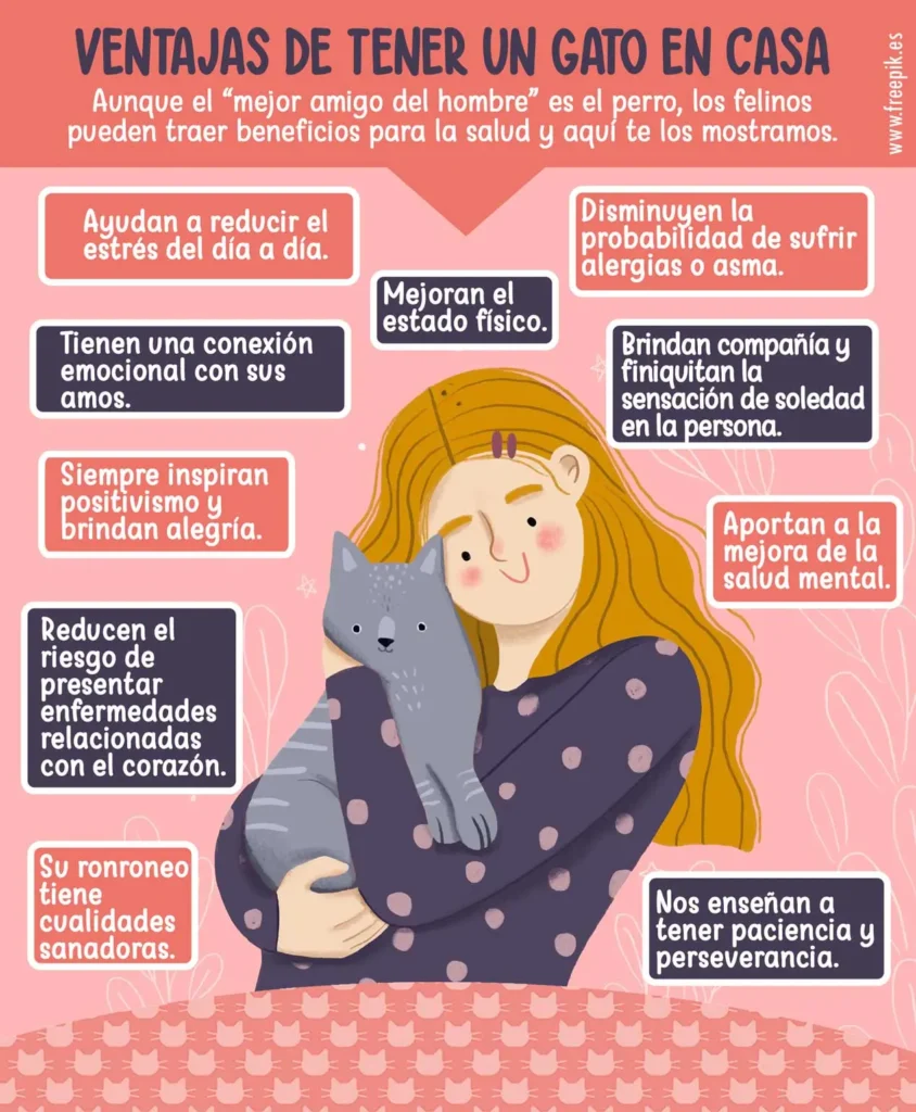 la importancia del contacto fisico para el bienestar felino