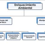 la importancia del refuerzo positivo en el enriquecimiento ambiental